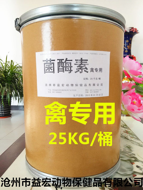 ø-݌(zhun)